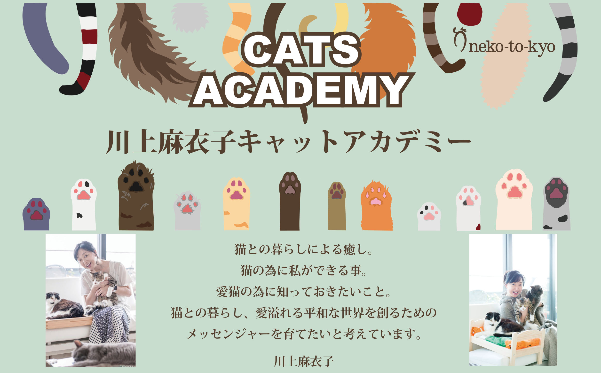 キャットアカデミーの実績