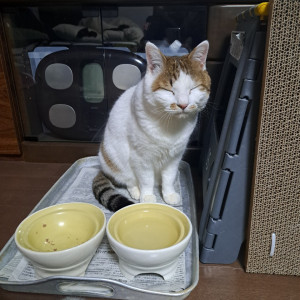 松田.シャトーブリアン.典之助